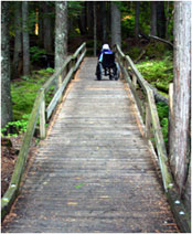 Photo of a person in a wheelchair on a trail bridge.