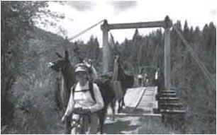 Photo of a man crossing a bridge with pack animals.