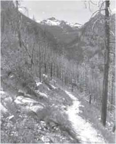 Photo of trail.
