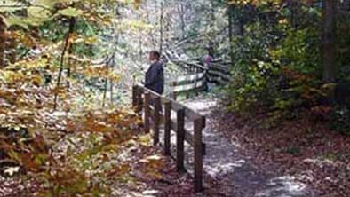 Photo of a person standing along the side of a trail.