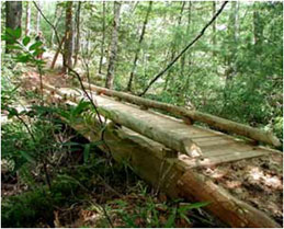 Photo of a trail bridge.