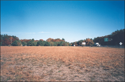 Photograph of Site 01MA showing a field.