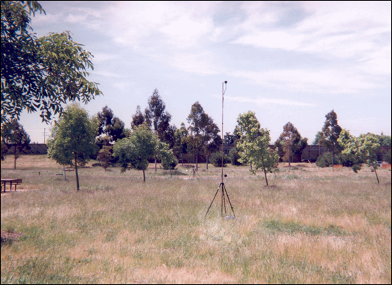 Photograph of Site 11CA showing a field with small trees.