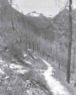 Photo of a narrow trail winding through trees with snow on the trail.