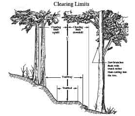 Drawing of two trees around a trail explaining clearing limits. Text in the drwaing reads, Clearing Limits, clearing limit uphill, clearing limit downhill, trailway, trailbed, and saw branches flush with trunk rather than cutting into the tree.