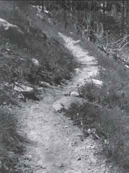 Photo of a trail winding up a hill.
