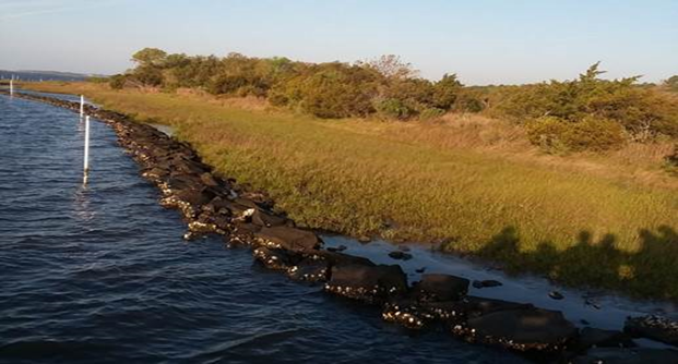 A long, narrow line of rocks is visible above the surface of the water, with marsh grasses landward of the rocks and shrubs and trees beyond that.