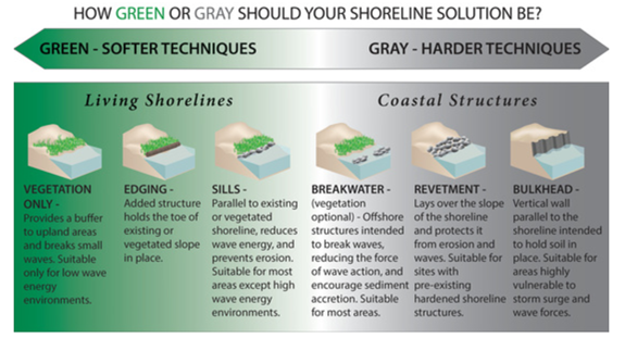 Shows a series of coastal treatments ranging from green/softer techniques to gray/harder techniques. On the left side of living shorelines, the greenest option is vegetation only, followed by edging and sills. Then it moves to coastal structures, including breakwater, revetment, and bulkhead (the hardest solution).