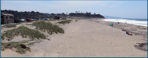 The beach with dunes and dune plants to the left and people sitting on the beach near the water to the right.