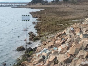 A slope covered with rip-rap and a waterway below with planted marsh along the shoreline. A sign reads "Pardon Our Mess: Living Shoreline Installation in Progress."