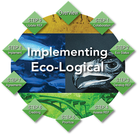 The steps for implementing the Eco-Logical Framework are: 1. Collaboration 2. Eco Status 3. Develop REF 4. Assess REF 5. Prioritize 6. Crediting 7. Agreements 8. Implement 9. Update REF