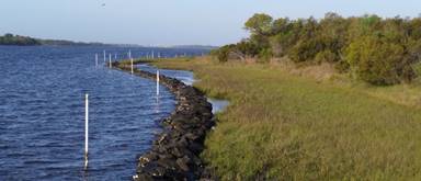 Photograph of a continuous stone sill structure protecting a constructed tidal marsh along a bay shoreline at Morris Landing, NC.