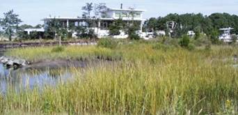 A river running through a grassy field Description automatically generated