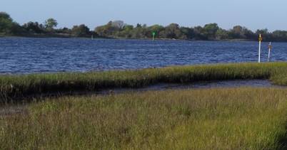 Photograph of marsh grass abutting a body of water, with trees on the opposite shoreline.