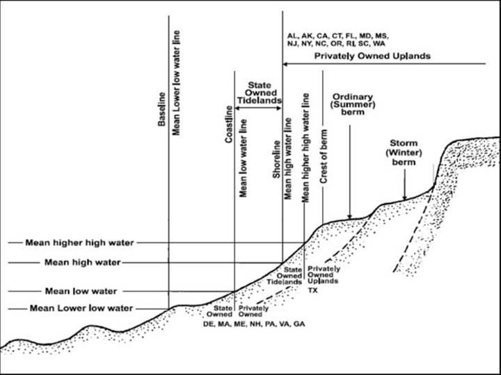 The coastal slope with mean lower low water, mean low water, mean high water, and mean higher high water marked horizontally, which correspond to the baseline, coastline, shoreline, and mean higher high water line, respectively. Above that is the crest of berm, ordinary (summer) berm, and storm (winter) berm. Everything above the shoreline is privately owned uplands in AL, AK, CA, CT, FL, MD, MS, NJ, NY, NC, OR, RI, SC, and WA. The area between the coastline and shoreline are considered state owned tidelands. And mean lower low water is the baseline. In DE, MA, ME, NH, PA, VA, and GA, the state vs. private owned property line occurs at the coastline/vertical of mean low water line, and in Texas, this occurs at the mean higher high water line.