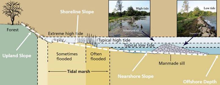Figure showing the cross-section of a slope starting at the upland and progressing offshore into a waterbody. There is a forest on the shoreline. The upland slope begins above the water line at the extreme high tide. The shoreline slope follows, which is sometimes flooded, followed by the area that is often flooded during typical high tide. This area is all considered tidal marsh. The nearshore slope occurs in the area inundated by typical low tide. The image shows a manmade sill between the nearshore slope and offshore depth. The water/waves would be partially blocked by the sill during low tide and rise/propagate over the sill during high tide.