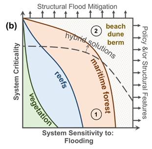 Graph b shows system sensitivity to flooding on the x-axis and system criticality on the y-axis. The graph indicates that vegetation can work for all criticality levels when system sensitivity is relatively low. Reefs or reef-like structures may work for a mid-range of sensitivity to flooding by waves, and maritime forests may work for more sensitive systems. For the most sensitive systems, beaches, dunes, and/or berms can provide resilience. Hybrid solutions are shown as a dashed line that ranges from mid-high criticality to high sensitivity to flooding. If systems are highly critical, structural flood mitigation could be required, and, if systems are highly sensitive, policy measures and/or structural flood mitigation should be considered.