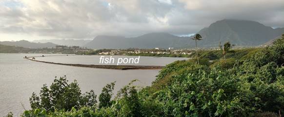 Photograph of a Hawaiian fish pond that shows a bay, the fish pond structure, and the fish pond itself.
