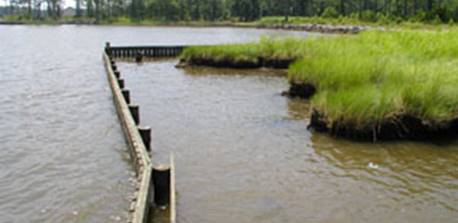 Photograph of a vertical timber sill structure resembling a short wooden wall with gaps between the slats protecting a tidal marsh from wave action.