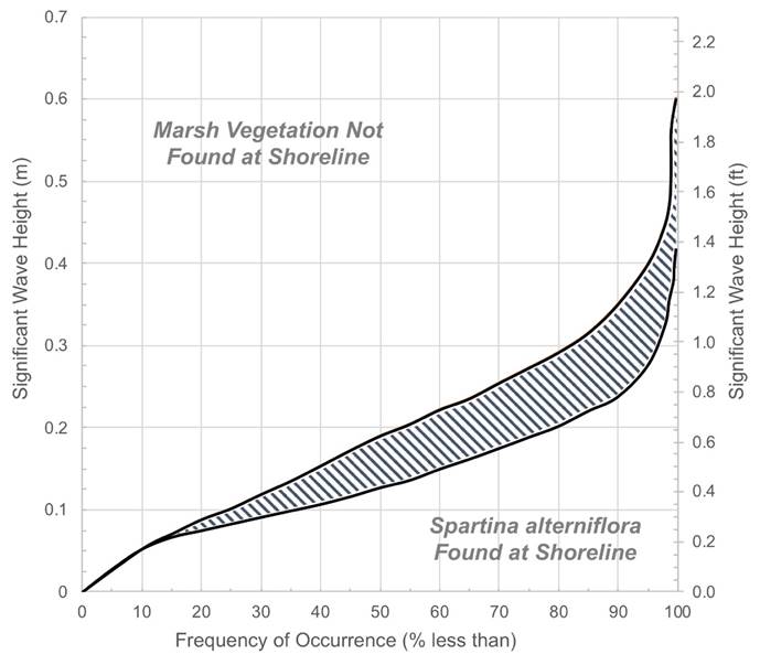 This graph shows frequency of occurrence (% less than) on the x-axis, the significant wave height in meters on the primary (left) y-axis, and significant wave height in feet on the secondary (right) y-axis. There are two curves shown on the figure. These curves, initially equal to one another for frequencies less than 25%, diverge over the frequency range 25% to just over 90% before they begin to approach one another again. The divergent region between the curves is shaded/hatched and represents some uncertainty in the data shown. When the significant wave height and frequency of occurrence values are below the lowest curve, Spartina alterniflora is found along the shoreline. When the significant wave height and frequency of occurrence values are above the highest curve, Spartina alterniflora is not found along the shoreline. For values falling in the shaded region between the curves, there may or may not be Spartina alterniflora long the shoreline.