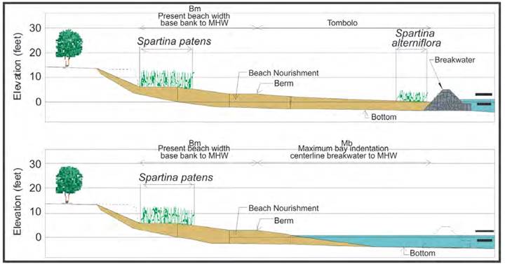 There are two panels showing the pocket beach profile, one with the breakwater and one in the gap between the breakwaters. At the top of the slope are trees, followed by Spartina patens, beach nourishment, the beach berm, and the bottom. In the profile with the breakwater, Spartina alterniflora is planted landward of the structure.
