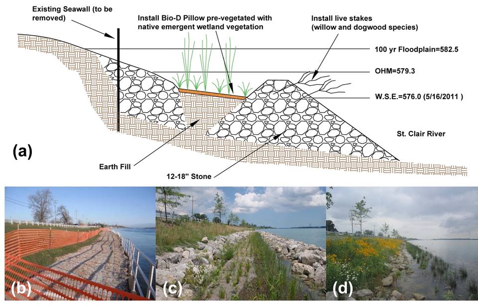 There are four panels in this graphic. Panel a shows a shoreline profile section diagram consisting of stone toe protection, emergent wetland shelf, and a stone sill. Panel b shows the roadway embankment and failing seawall prior to construction of the nature-based solution. Panel c shows the project at lower lake levels where the stone toe, wetland shelf, and sill are visible. Panel d shows the treatment during higher lake levels where the sill is completely submerged, the wetland shelf is mostly submerged, and the stone toe is partially submerged. Cobble beach comes up to an elevation of 25 feet. MSE Reinforcement & Backfill forms a triangle with the base buried to a depth of 5 feet and the top level with the cobble. The sides of the reinforcement are 15 feet thick and the total base is 75 feet wide. In the center of the reinforcement are sand tubes that fill the 45 feet between the reinforcements. The far side of the reinforcement is planted with terraces. Then there is riprap between the reinforcement and the Oregon Coast Highway (101).