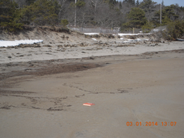 Photo shows sand beach, eroded dune, and roadway in background.