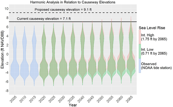Graph shows violin shaped polygons indicating causeway unundation at current elevation but not at proposed elevation that would raise the road by two feet.