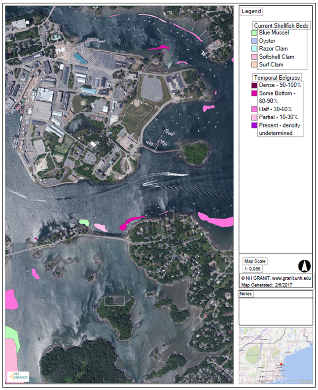 Map shows blue mussel and eelgrass beds located just north of the causeway.