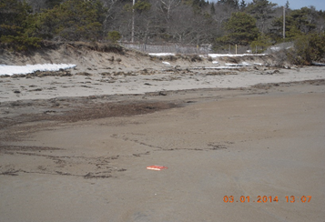 Photo shows sandy beach in foreground, erosional scarp and road in background.
