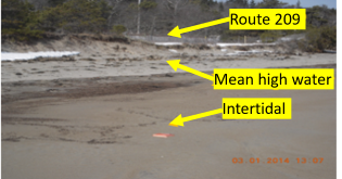 Photo shows sandy beach intertidal area, mean high wayer at erosional scarp, and Route 209 close behind that.