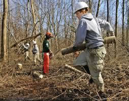 Photo of people working outdoors.