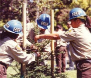 Photo of 3 yound people in CCC labeled hardhats planting a tree.