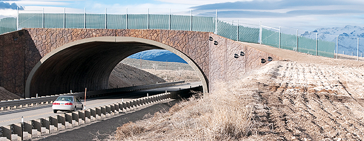 Bridge over a road