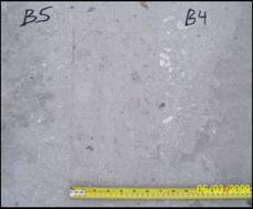 Figure 15 Close-up of a ground Joint Fill and side-by-side Deck Bulb Tees