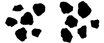 Figure 2.24. Photo. Dark and light 1.18 mm (ASTM #16 sieve) aggregates used in Experiment 7. Two adjacent squares both show several silhouettes of aggregate on a light background.