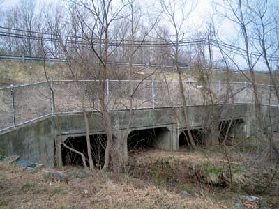 Photograph. Four adjacent culverts cross under a highway. A metal fence prevents egress. One of the culverts if partially filled with silt and debris.