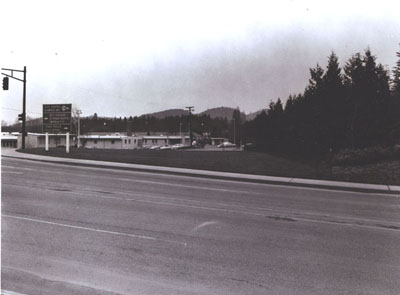 Oregon - Screen planting of Incense Cedar on fill on Interstate 5 in Roseburg.  Object - to reduce noise to hospital, left center of photograph.  Planted in 1955.  These trees are 15-18 feet high.