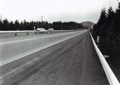 Oregon - Screen planting of Incense Cedar on fill, Interstate 5, in Roseburg.  Planted in 1955.  These trees are 15-18 feet high.