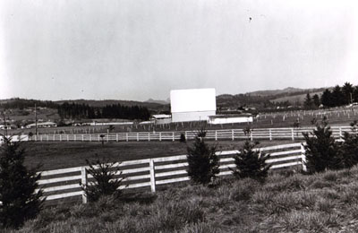 Oregon- A planting of Douglas Fir to screen outdoor theater adjacent to Interstate 5 at Cottage Grove.