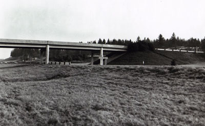 Oregon- Planting of evergreen groundcover (Arctostaphylos uva-ursi, Kinnikinick) at interchange on Interstate 5 between Albany and Salem.  Note also heavy shrub planting on slope beyond crossing A functional planting that improves appearance and reduces maintenance.