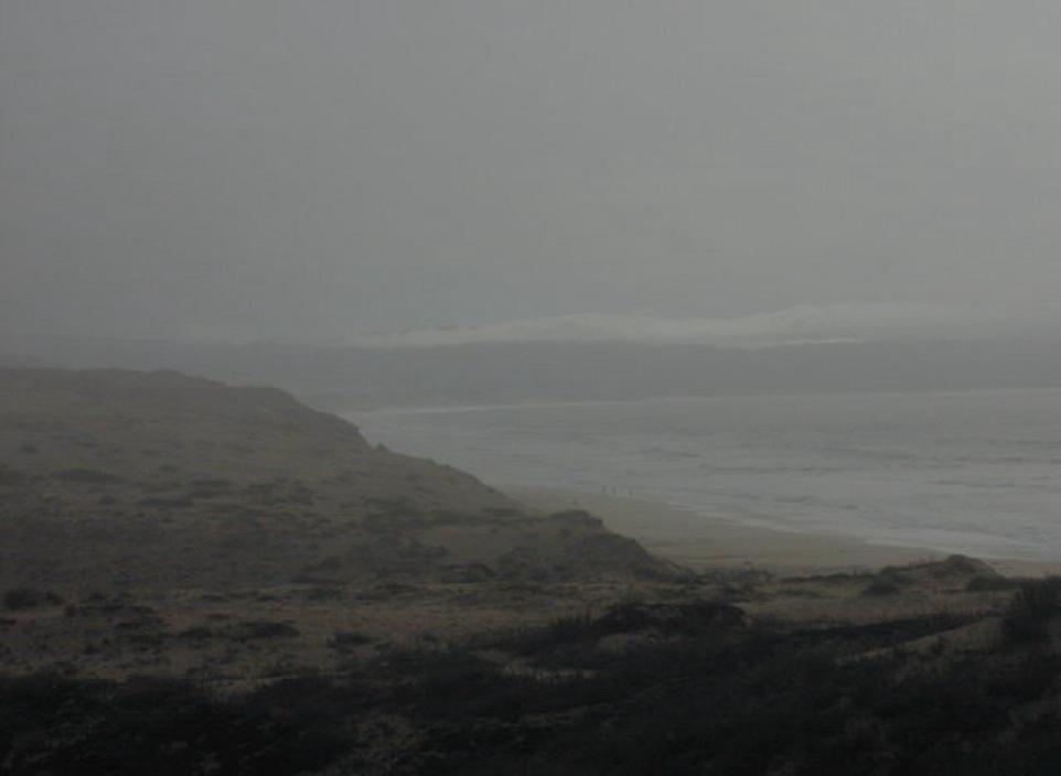 Foggy coast line