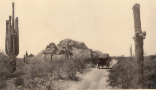 Scene of the Arizona landscape.