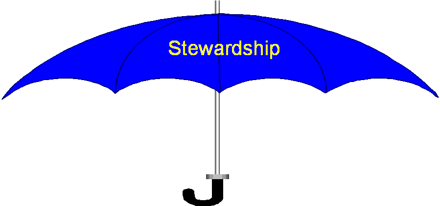 Graphic of umbrella labelled stewardship