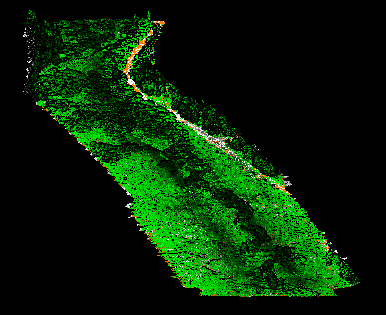 LiDAR image showing the topography of a river through a wetlands area.