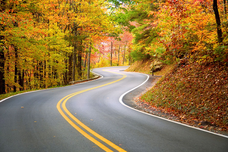 A road winding through the woods.