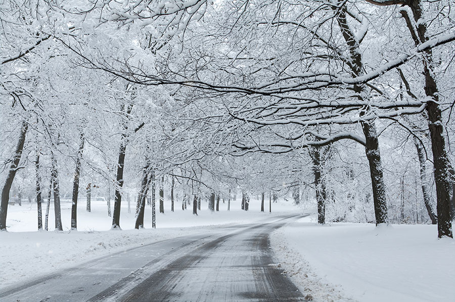 Winter scene of a deserted road surrounded by snow-covered trees.