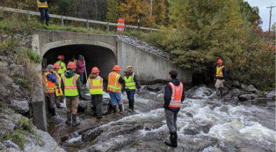 People wearing hardhats and safety vests standing in a stream under a culvert.