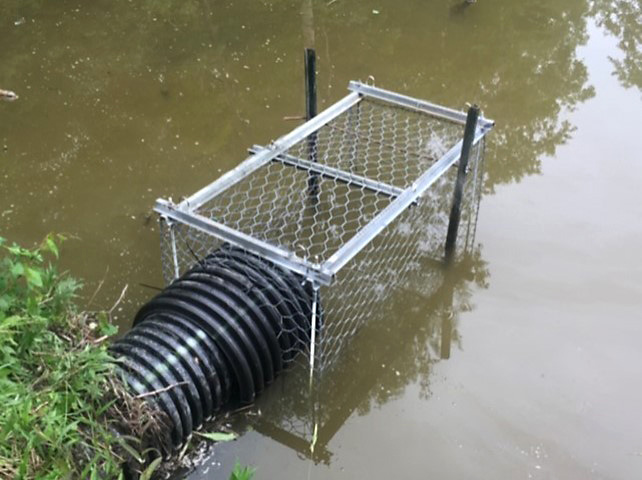 A metal cage with sides made of chicken wire is fitted over the end of a black, rimmed culvert that empties into a pond. The other end of the cage is secured by a pole on either side.