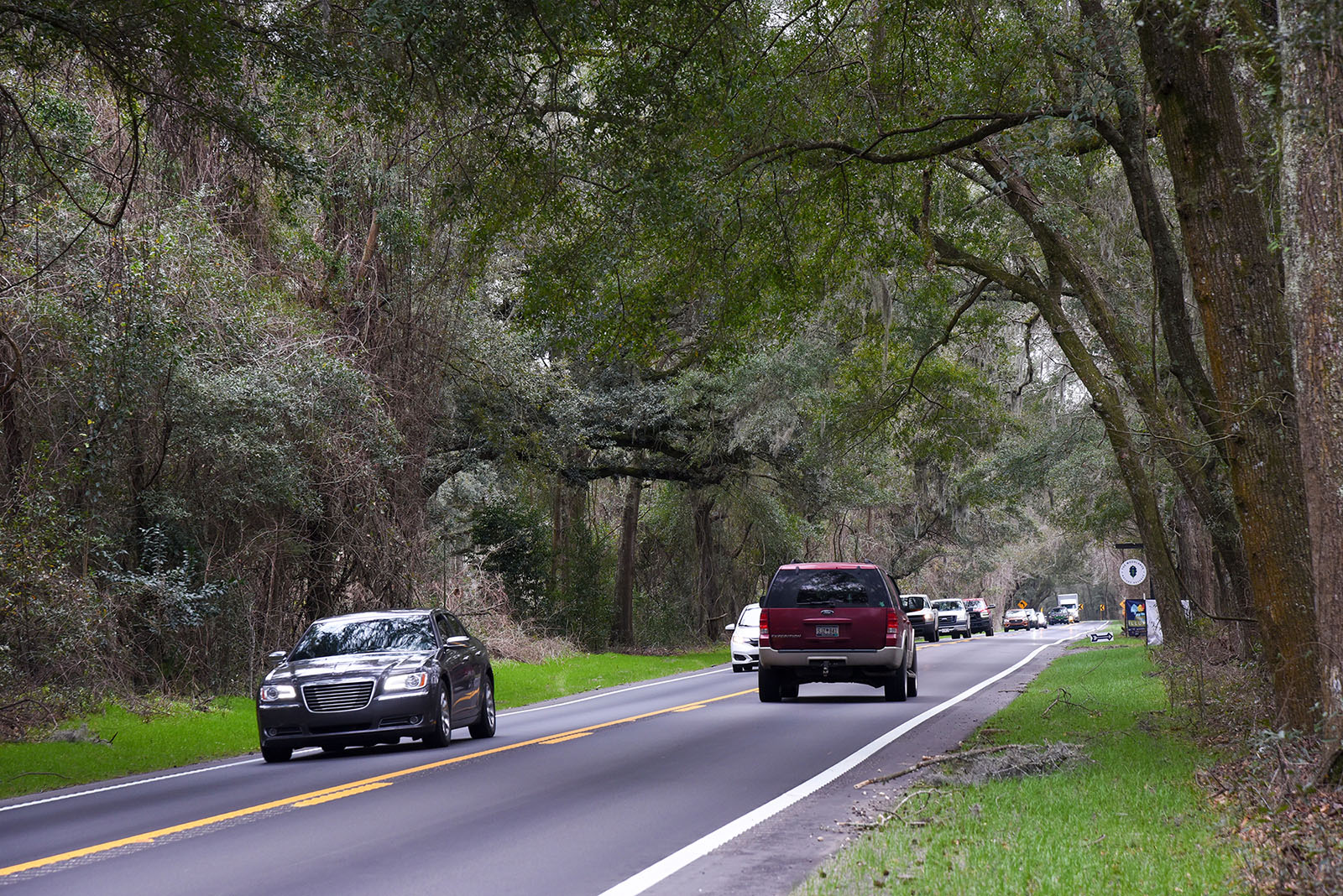 Cars traveling on a two-lane, rural road under a canopy of trees.